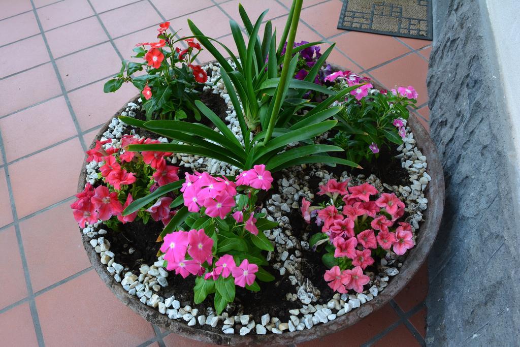 B&B Casa Di Mari Aci Sant'Antonio Екстер'єр фото